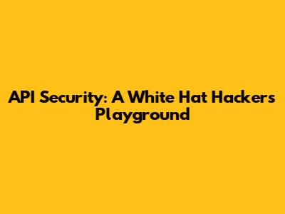 API Security: A White Hat Hacker's Playground