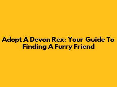 Adopt A Devon Rex: Your Guide To Finding A Furry Friend