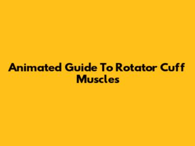 Animated Guide To Rotator Cuff Muscles