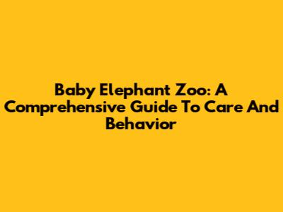 Baby Elephant Zoo: A Comprehensive Guide To Care And Behavior