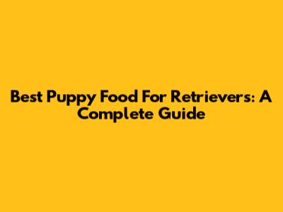 Best Puppy Food For Retrievers: A Complete Guide
