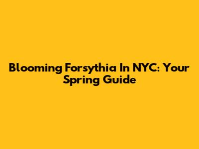 Blooming Forsythia In NYC: Your Spring Guide
