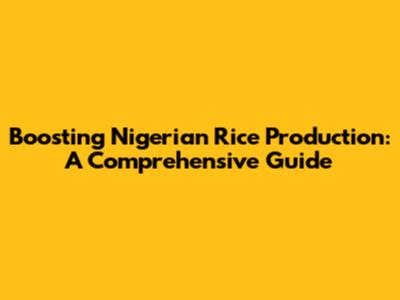 Boosting Nigerian Rice Production: A Comprehensive Guide