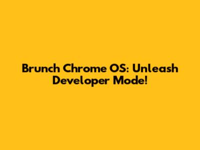 Brunch Chrome OS: Unleash Developer Mode!