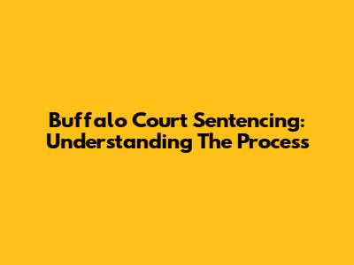 Buffalo Court Sentencing: Understanding The Process