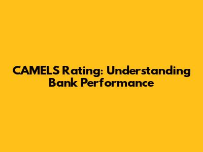 CAMELS Rating: Understanding Bank Performance