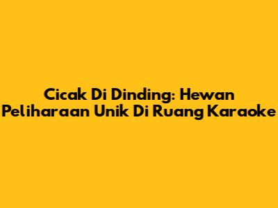 Cicak Di Dinding: Hewan Peliharaan Unik Di Ruang Karaoke