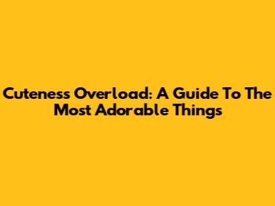 Cuteness Overload: A Guide To The Most Adorable Things