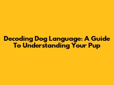 Decoding Dog Language: A Guide To Understanding Your Pup