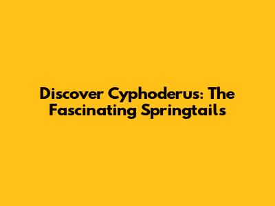 Discover Cyphoderus: The Fascinating Springtails