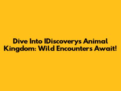 Dive Into IDiscovery's Animal Kingdom: Wild Encounters Await!