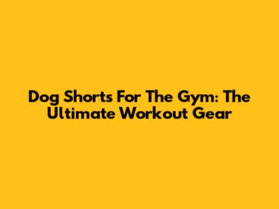 Dog Shorts For The Gym: The Ultimate Workout Gear