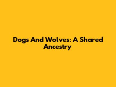 Dogs And Wolves: A Shared Ancestry