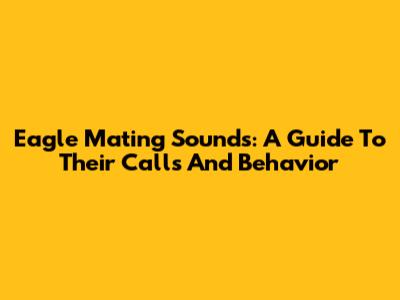 Eagle Mating Sounds: A Guide To Their Calls And Behavior
