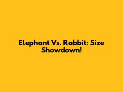 Elephant Vs. Rabbit: Size Showdown!