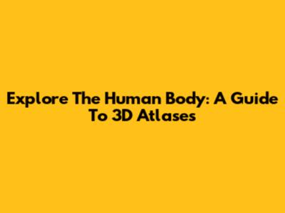 Explore The Human Body: A Guide To 3D Atlases