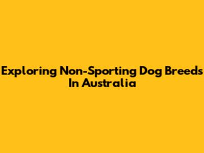 Exploring Non-Sporting Dog Breeds In Australia