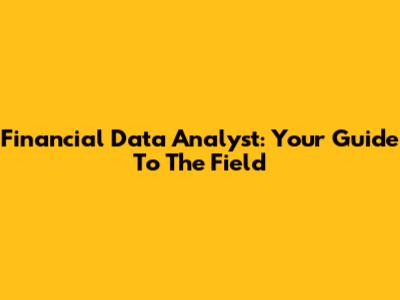 Financial Data Analyst: Your Guide To The Field