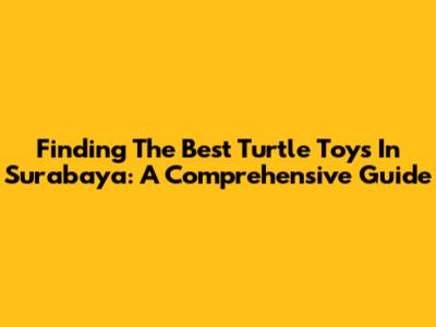 Finding The Best Turtle Toys In Surabaya: A Comprehensive Guide