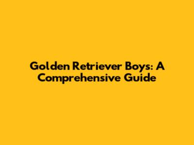 Golden Retriever Boys: A Comprehensive Guide