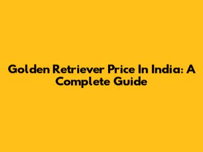 Golden Retriever Price In India: A Complete Guide