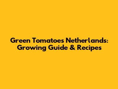 Green Tomatoes Netherlands: Growing Guide & Recipes