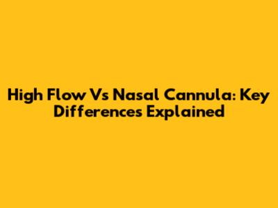 High Flow Vs Nasal Cannula: Key Differences Explained