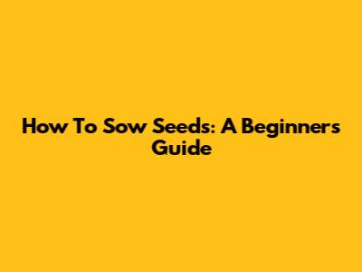 How To Sow Seeds: A Beginner's Guide