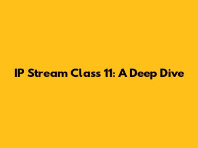 IP Stream Class 11: A Deep Dive