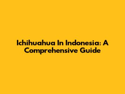 Ichihuahua In Indonesia: A Comprehensive Guide