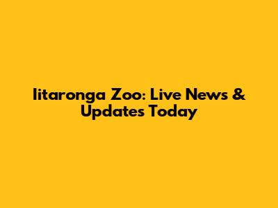 Iitaronga Zoo: Live News & Updates Today