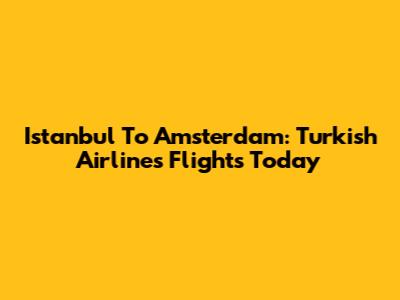 Istanbul To Amsterdam: Turkish Airlines Flights Today