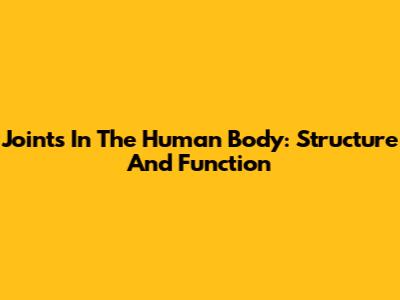 Joints In The Human Body: Structure And Function