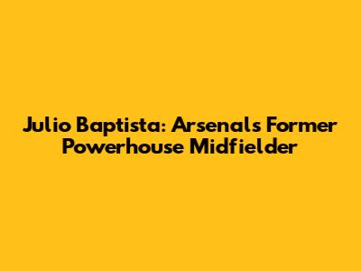 Julio Baptista: Arsenal's Former Powerhouse Midfielder