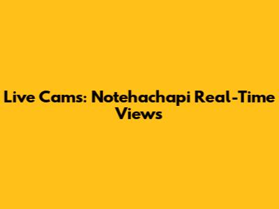 Live Cams: Notehachapi Real-Time Views