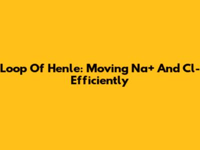 Loop Of Henle: Moving Na+ And Cl- Efficiently