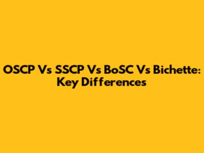 OSCP Vs SSCP Vs BoSC Vs Bichette: Key Differences