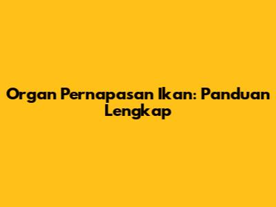 Organ Pernapasan Ikan: Panduan Lengkap