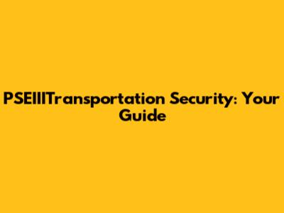 PSEIIITransportation Security: Your Guide