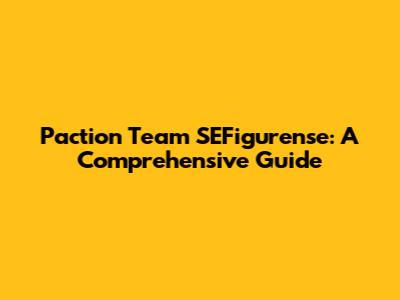 Paction Team SEFigurense: A Comprehensive Guide