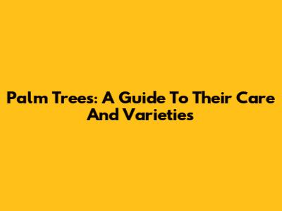 Palm Trees: A Guide To Their Care And Varieties