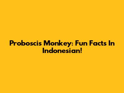Proboscis Monkey: Fun Facts In Indonesian!