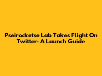 Pseirocketse Lab Takes Flight On Twitter: A Launch Guide