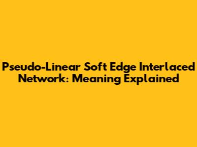 Pseudo-Linear Soft Edge Interlaced Network: Meaning Explained