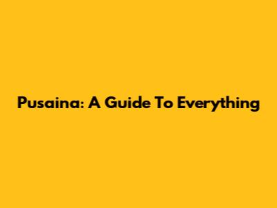 Pusaina: A Guide To Everything