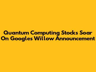 Quantum Computing Stocks Soar On Google's Willow Announcement