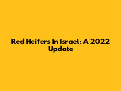 Red Heifers In Israel: A 2022 Update
