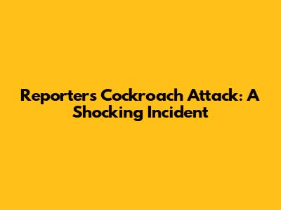 Reporter's Cockroach Attack: A Shocking Incident