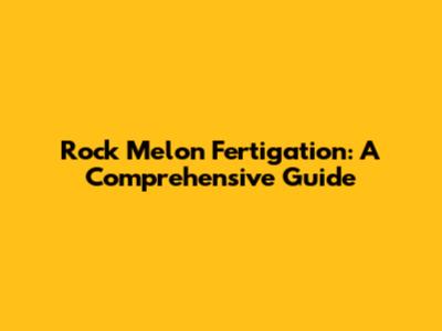 Rock Melon Fertigation: A Comprehensive Guide