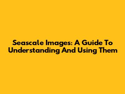 Seascale Images: A Guide To Understanding And Using Them